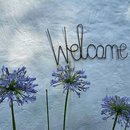 Caladdi Bed And Breakfast Ντούρμπαν Εξωτερικό φωτογραφία
