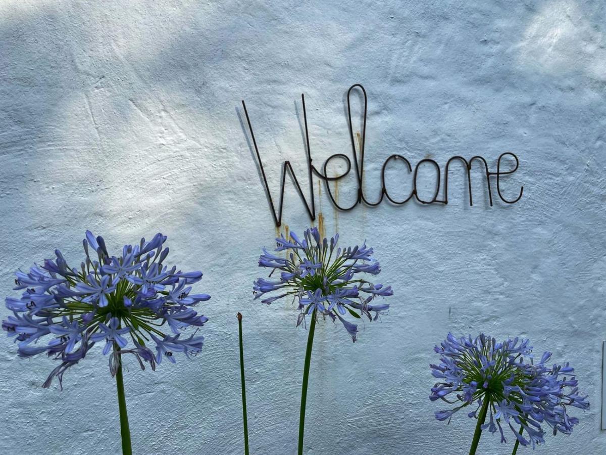 Caladdi Bed And Breakfast Ντούρμπαν Εξωτερικό φωτογραφία