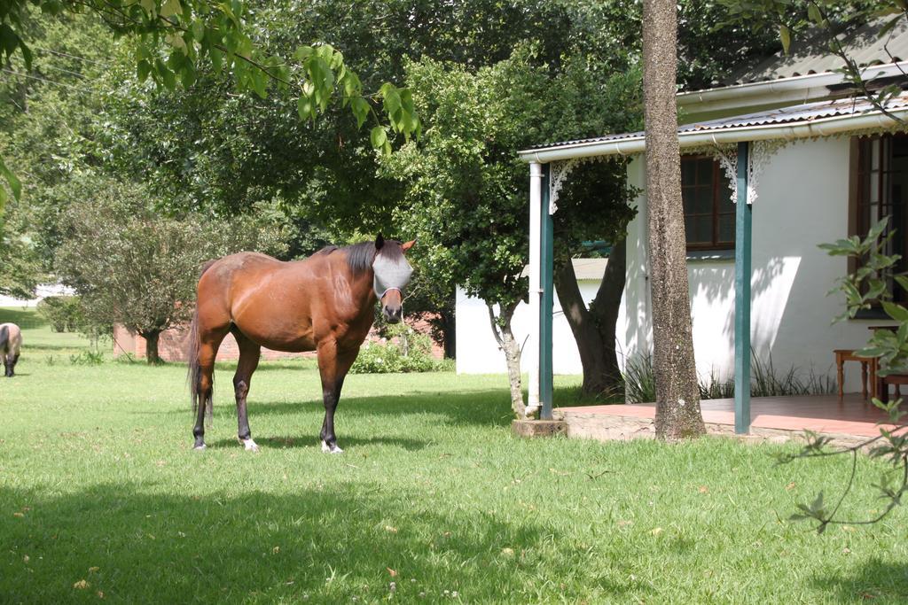 Caladdi Bed And Breakfast Ντούρμπαν Εξωτερικό φωτογραφία